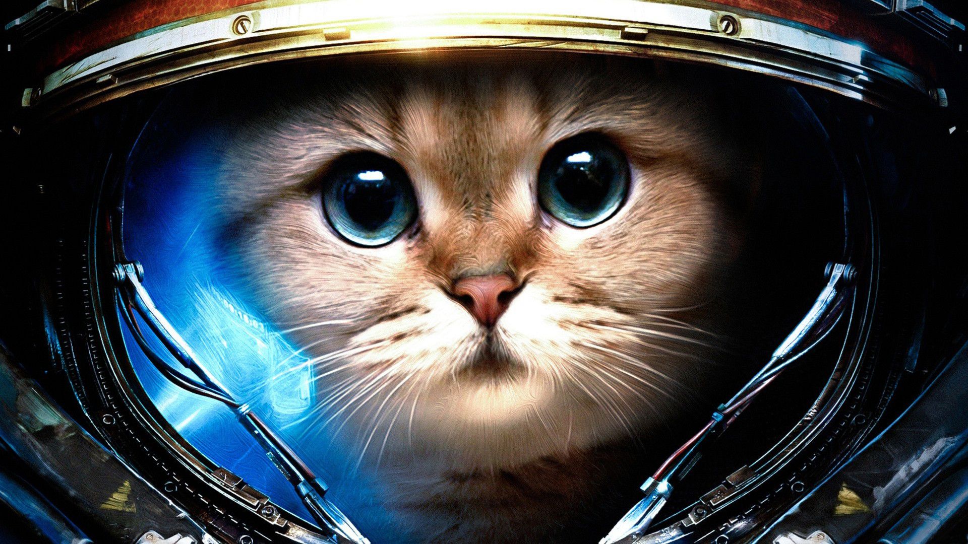 Centered Image